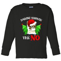 Cat Lover Xmas Dashing Through Grumpy Cats The No Christmas Toddler Long Sleeve Shirt