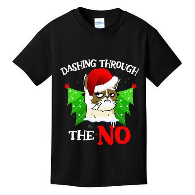 Cat Lover Xmas Dashing Through Grumpy Cats The No Christmas Kids T-Shirt