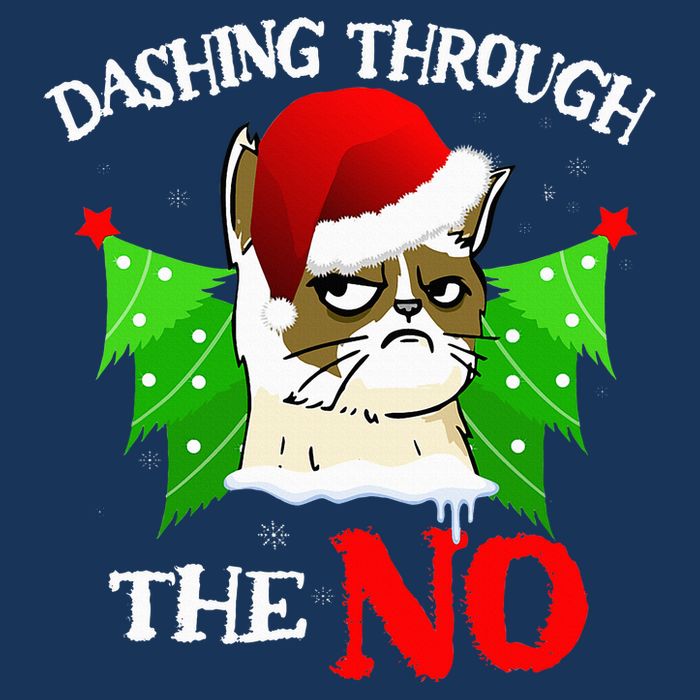 Cat Lover Xmas Dashing Through Grumpy Cats The No Christmas Infant Baby Jersey Bodysuit