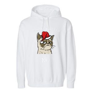 Cat Lover Xmas Funny Gift Dashing Through No Grumpy Christmas Great Gift Garment-Dyed Fleece Hoodie