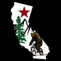 California Mountain Biking Bear Impact Tech Backpack