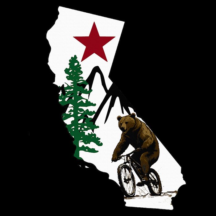 California Mountain Biking Bear Impact Tech Backpack