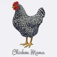 Chicken Mama Black Barred Plymouth Rock Hen Mom Bird Lovers Women's Crop Top Tee
