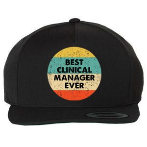 Clinical Manager Best Clinical Manager Ever Wool Snapback Cap