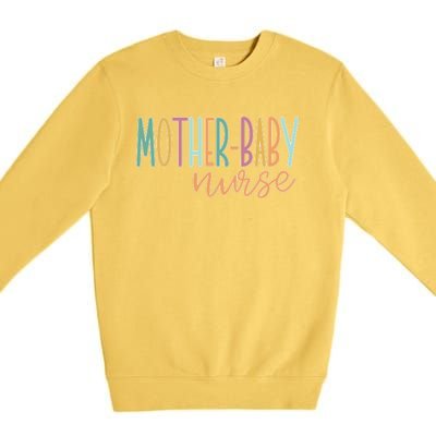 Cute Mother Baby Nurse Gift Premium Crewneck Sweatshirt