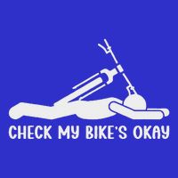 Check My Bike’S Okay Hoodie