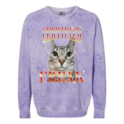 Cat Meme Certified Freak Eat Cement Cursed Cat Colorblast Crewneck Sweatshirt