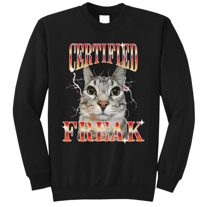 Cat Meme Certified Freak Eat Cement Cursed Cat Sweatshirt