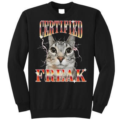 Cat Meme Certified Freak Eat Cement Cursed Cat Tall Sweatshirt