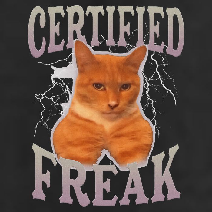 Cat Meme Certified Freak 7 Panel Mesh Trucker Snapback Hat