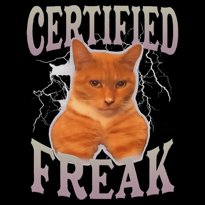 Cat Meme Certified Freak City Backpack