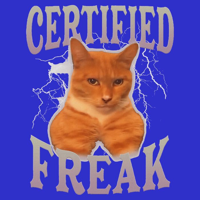 Cat Meme Certified Freak Tall Hoodie