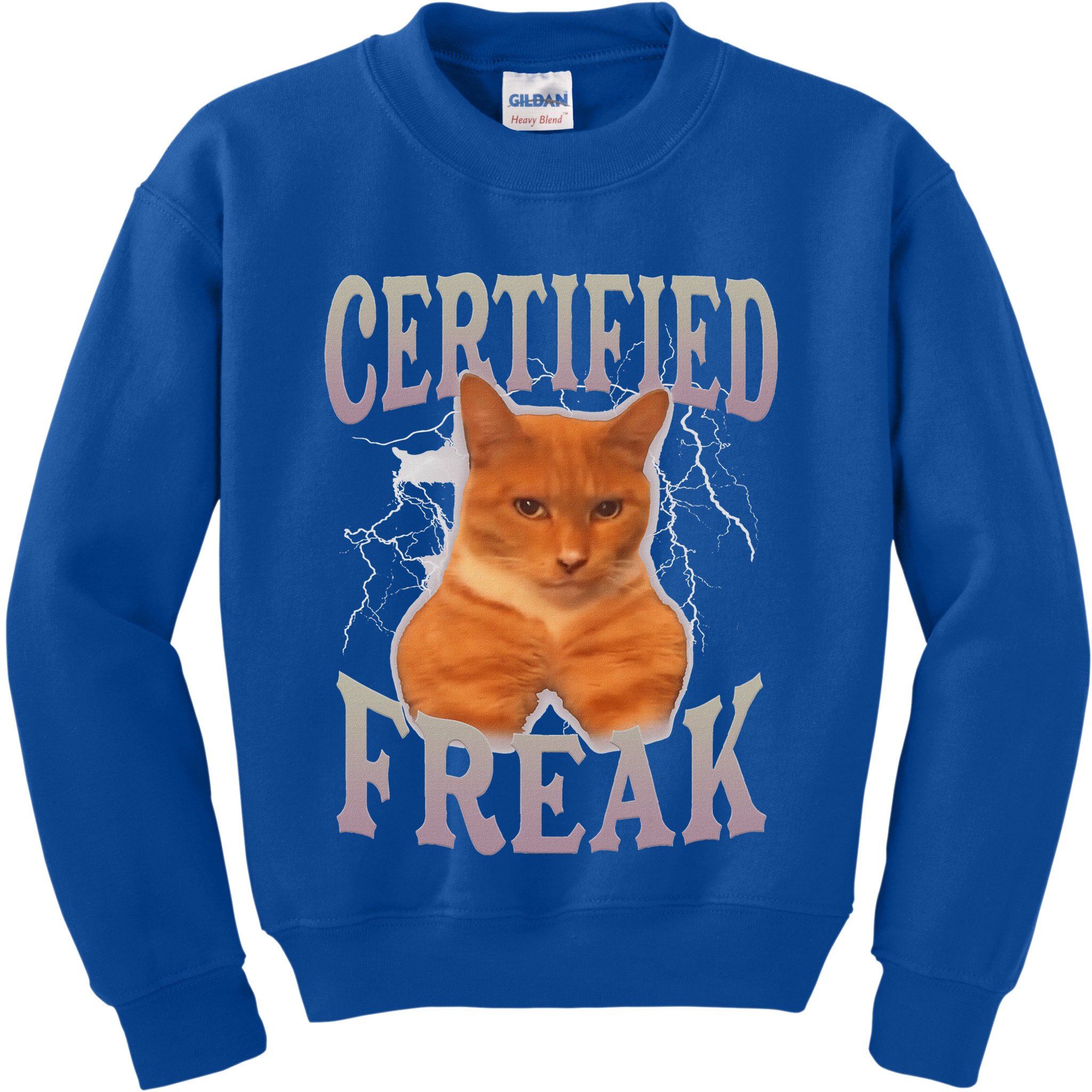 Cat Meme Certified Freak Kids Sweatshirt