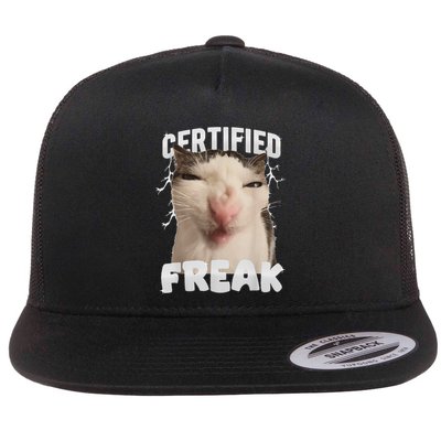 Cat Meme Certified Freak Eat Cement Cursed Cat Flat Bill Trucker Hat