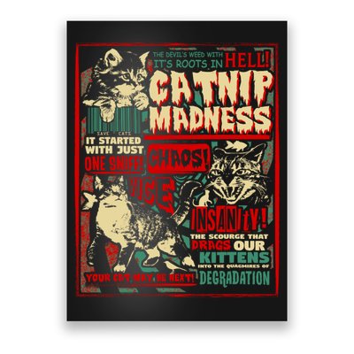 Catnip Madness Cute Kitten Cat Lover Gift For Cat Owners Poster