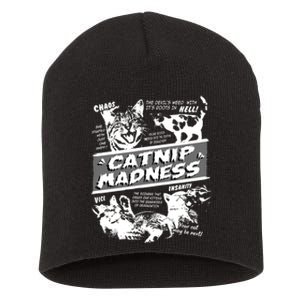 Catnip Madness Cute Kitten Cat Lover Gift For Cat Owners Short Acrylic Beanie