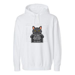 Cat Mugshot Catnip Made Me Do It Funny Furrypants Garment-Dyed Fleece Hoodie