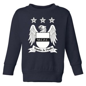 Cool Man City Slogan Eagle With Stars Toddler Sweatshirt