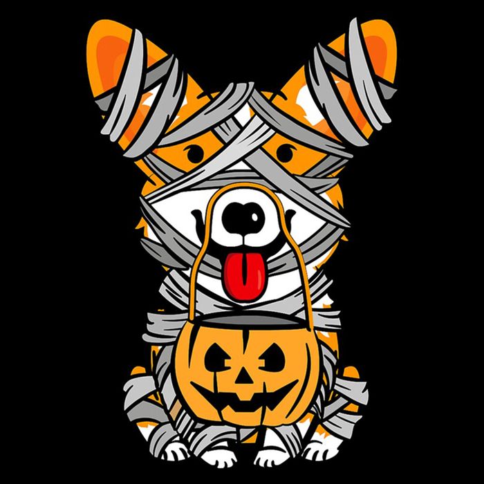 Corgi Mummy Cute Halloween Dog Lover Flatbill Hat