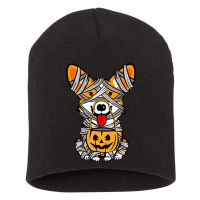 Corgi Mummy Cute Halloween Dog Lover Short Acrylic Beanie