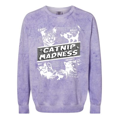 Catnip Madness Cute Kitten Funny Cat Pet Humor Colorblast Crewneck Sweatshirt