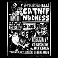 Catnip Madness Cute Kitten Cat Lover Gift For Cat Owners 16 in Basic Backpack