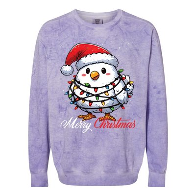 Chicken Merry Christmas Lights Santa Hat Xmas Snow Long Sleeve Colorblast Crewneck Sweatshirt