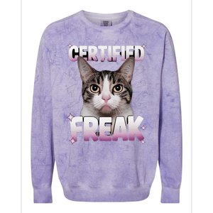 Cat Meme Certified Freak Eat Cement Cursed Cat Funny Colorblast Crewneck Sweatshirt