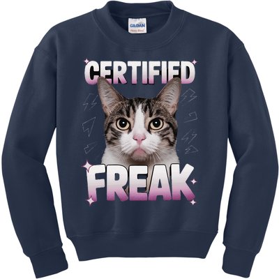 Cat Meme Certified Freak Eat Cement Cursed Cat Funny Kids Sweatshirt