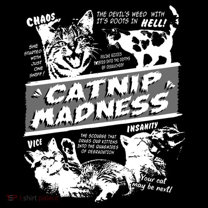 Catnip Madness Cute Kitten Funny Cat Pet Humor T-Shirt