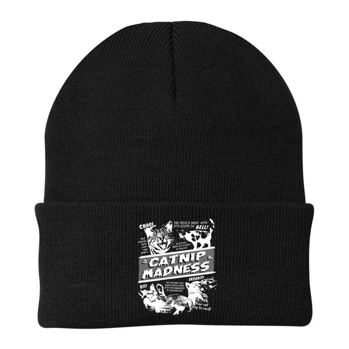 Catnip Madness Cute Kitten Funny Cat Pet Humor Beanie