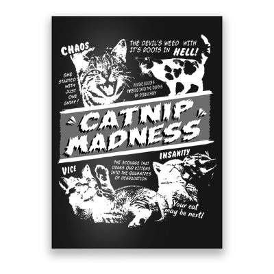 Catnip Madness Cute Kitten Funny Cat Pet Humor Poster