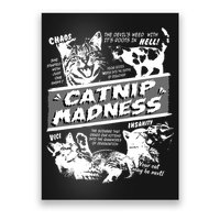Catnip Madness Cute Kitten Funny Cat Pet Humor Poster