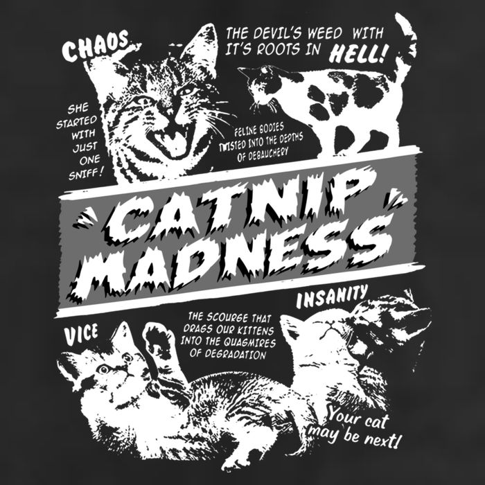 Catnip Madness Cute Kitten Funny Cat Pet Humor Microfiber Hand Towel