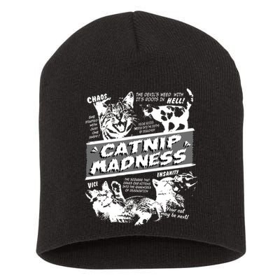 Catnip Madness Cute Kitten Funny Cat Pet Humor Short Acrylic Beanie