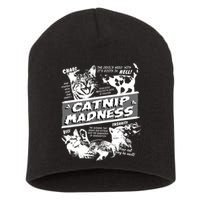 Catnip Madness Cute Kitten Funny Cat Pet Humor Short Acrylic Beanie