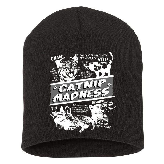 Catnip Madness Cute Kitten Funny Cat Pet Humor Short Acrylic Beanie