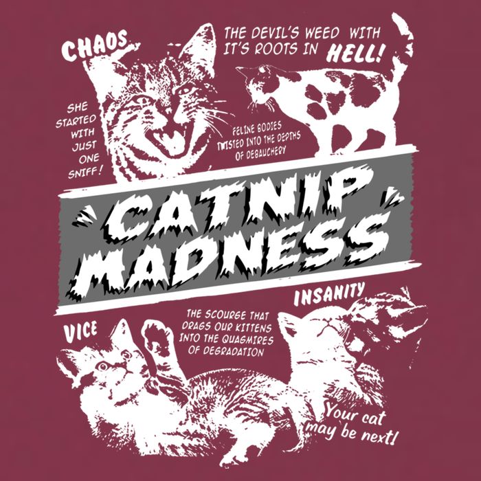 Catnip Madness Cute Kitten Funny Cat Pet Humor 16oz Travel Tumbler