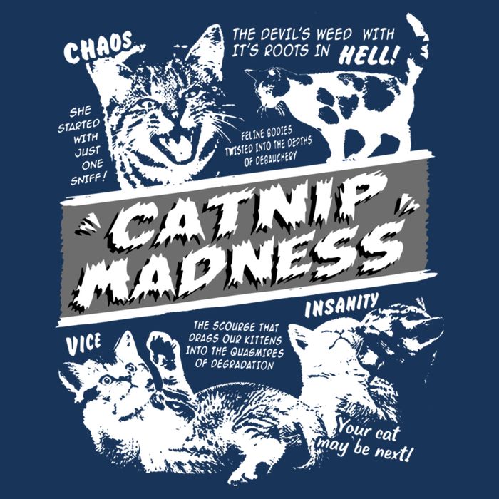 Catnip Madness Cute Kitten Funny Cat Pet Humor Infant Baby Jersey Bodysuit