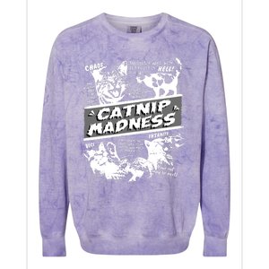 Catnip Madness Cute Kitten Funny Cat Pet Humor Colorblast Crewneck Sweatshirt