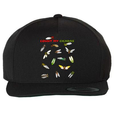 Count My Cicadas Cicadoidea Insect Cicada Invasion 2024 Wool Snapback Cap