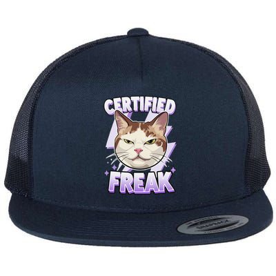 Cat Meme Certified Freak Eat Cement Cursed Cat Funny Flat Bill Trucker Hat