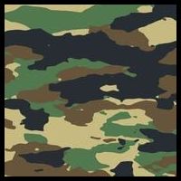 Camo Military Wool Snapback Cap