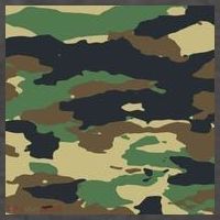 Camo Military Vector Backpack