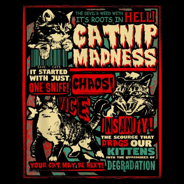 Catnip Madness Cute Kitten Cat Lover Gift For Cat Owners Cropped Pullover Crew