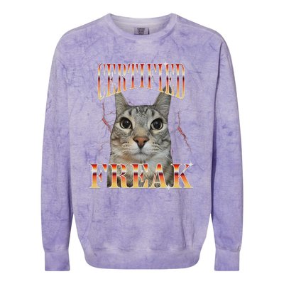 Cat Meme Certified Freak Eat Cement Cursed Cat Funny Colorblast Crewneck Sweatshirt