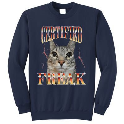 Cat Meme Certified Freak Eat Cement Cursed Cat Funny Sweatshirt