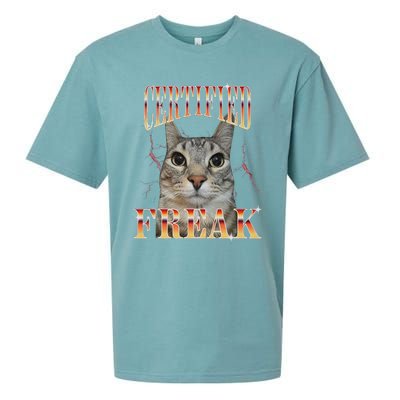 Cat Meme Certified Freak Eat Cement Cursed Cat Funny Sueded Cloud Jersey T-Shirt