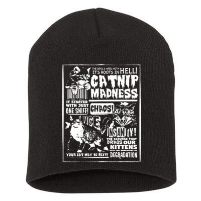 Catnip Madness Cute Kitten Cat Lover Gift For Cat Owners Short Acrylic Beanie