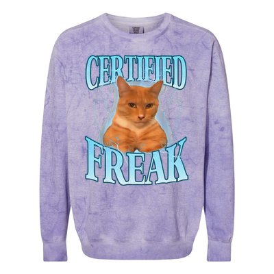 Cat Meme Certified Freak Eat Cement Cursed Cat Funny Colorblast Crewneck Sweatshirt